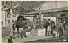 Memorabilia - 1950s - Safsaf coffee shop at La Marsa